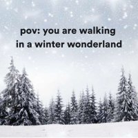 VA - pov: you are walking in a winter wonderland (2022) MP3