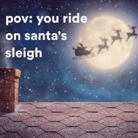 VA - pov: you ride on santa's sleigh (2022) MP3