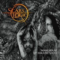 Scars Of Logic - Warehouse Of Erratic Souls (2022) MP3