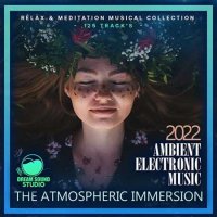 VA - The Atmospheric Immersion (2022) MP3