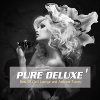 VA - Pure Deluxe, Vol. 1-4 [Best of Chill Lounge and Ambient Tunes] (2014) MP3