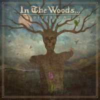 In The Woods... - Diversum (2022) MP3