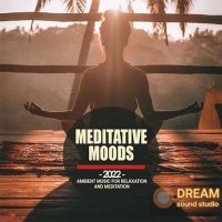 VA - Meditative Moods (2022) MP3