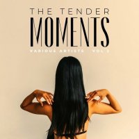 VA - The Tender Moments, Vol. 1-2 (2022) MP3