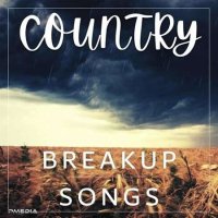 VA - Country Breakup Songs (2022) MP3
