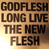 Godflesh - Long Live The New Flesh (2021/2022) MP3