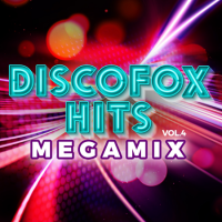 VA - Discofox Hits Megamix [04] (2022) MP3