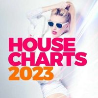 VA - House Charts 2023 (2022) MP3