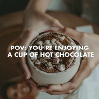 VA - pov: you're enjoying a cup of hot chocolate (2022) MP3