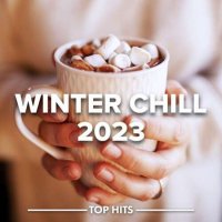 VA - Winter Chill 2023 (2022) MP3