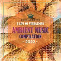 VA - A Life Of Vibrations (2022) MP3