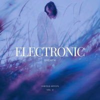VA - Electronic Breath, Vol. 2 (2022) MP3