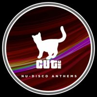 VA - Nu-Disco Anthems (2022) MP3