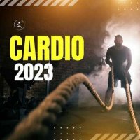 VA - Cardio 2023 (2022) MP3