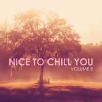 VA - Nice To Chill You, Vol. 3 (2023) MP3