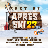 VA - Best of Apres Ski (2022) MP3
