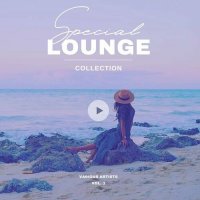 VA - Special Lounge Collection [Vol. 3] (2023) MP3