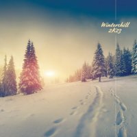 VA - Winterchill 2k23 (2023) MP3