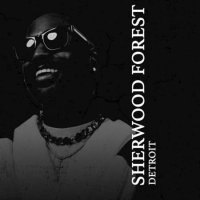 Big Sean - Sherwood Forest (2022) MP3