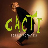 Billy Nomates - Cacti (2023) MP3