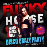 VA - Funky House: Disco Crazy Party (2023) MP3