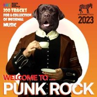VA - Welcome To Punk Rock (2023) MP3