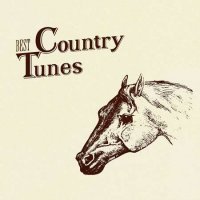 VA - Best Country Tunes (2023) MP3