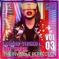 VA - The Invisible Perfection Vol.03 (2023) MP3