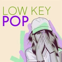 VA - Low Key Pop (2023) MP3
