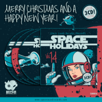 VA - Space Holidays [14] (2022) MP3
