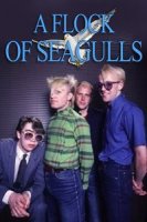 A Flock Of Seagulls - Collection (1981-2006) MP3