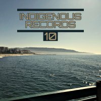 VA - Indigenous Records 10 (2022) MP3