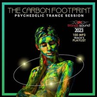VA - The Carbon Footprint (2023) MP3
