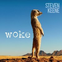 Steven Keene - Woke (2023) MP3