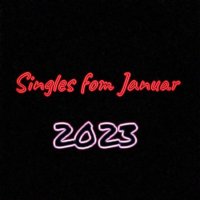 VA - Fiesta Records - Singles vom Januar (2023) MP3