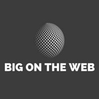 VA - Big on the Web (2023) MP3
