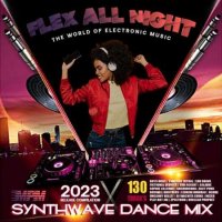 VA - Flex All Night: Electronic Dance Mix (2023) MP3