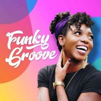 VA - Funky Groove (2023) MP3