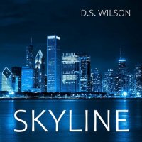 D.S. Wilson - Skyline (2023) MP3