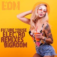VA - Future House, Electro Remixes, EDM Bigroom (2023) MP3