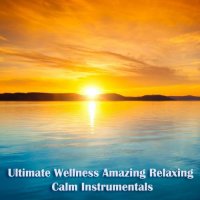 VA - Ultimate Wellness Amazing Relaxing Calm Instrumentals (2023) MP3