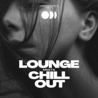 VA - Lounge Meets Chill Out, Vol. 4 (2023) MP3