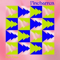 Pinebarren - Past Time (2023) MP3