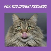 VA - pov: you caught feelings (2023) MP3