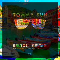 Tommy Sun - Beach Remix (2020) MP3