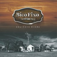 Bico Fino Brother's Band - Southern Winds (2023) MP3