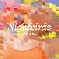 Nightbirde - It's OK (2023) MP3