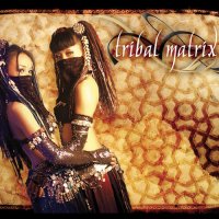 VA - Tribal Matrix (2006) MP3