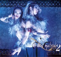 VA - Tribal Matrix 2 (2009) MP3