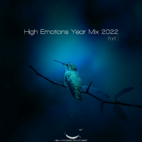 VA - High Emotions Year Mix [01] (2022) MP3